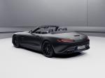 Mercedes-AMG GT Roadster 2020 года (WW)